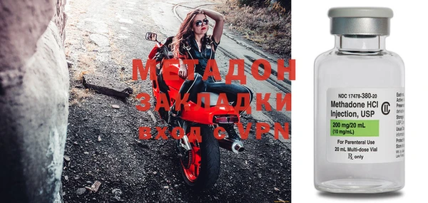 прущие грибы Медвежьегорск