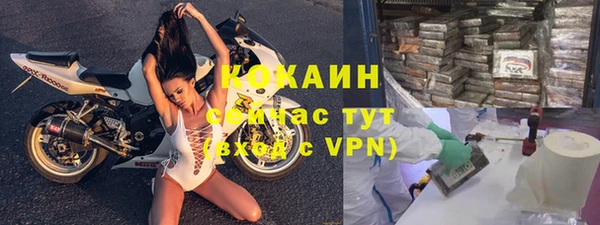 прущие грибы Медвежьегорск