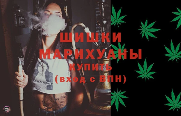 СК Медногорск